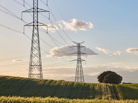 Adobestock 615363151