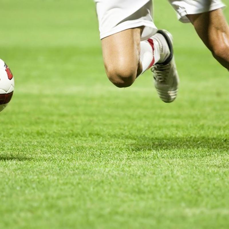 Amorimsports Corkinfills