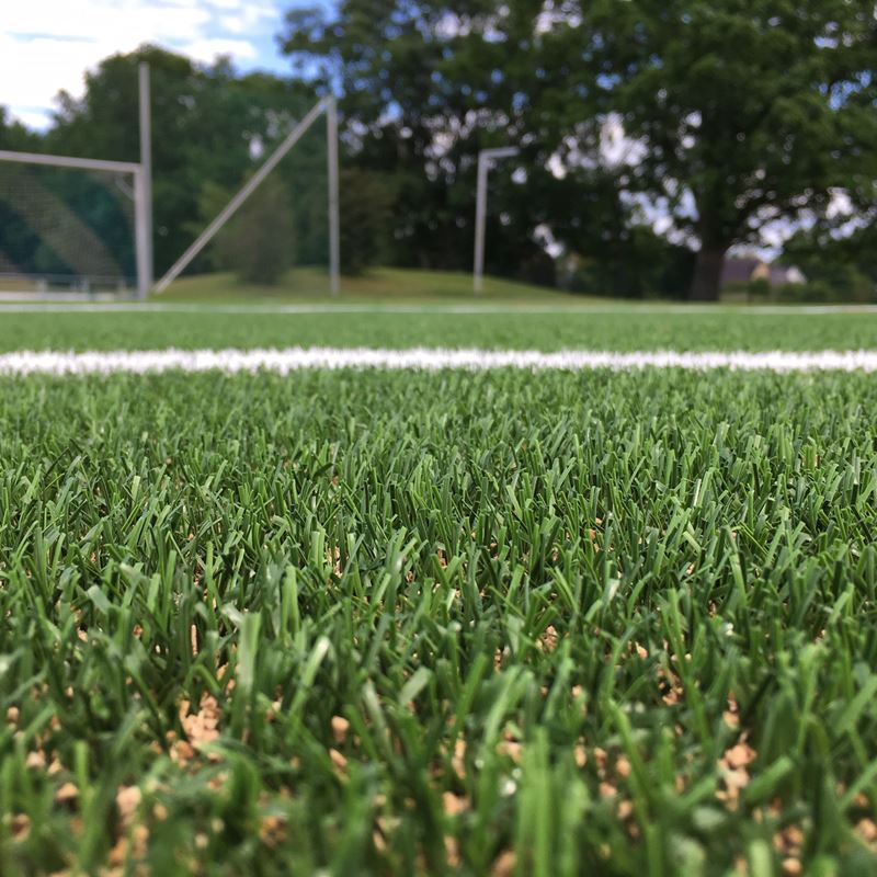 Case Study Shoneiche