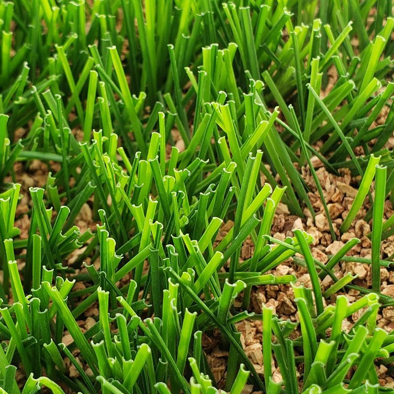 11 C Amorim Sports Delano Roosevelt Infill (1)