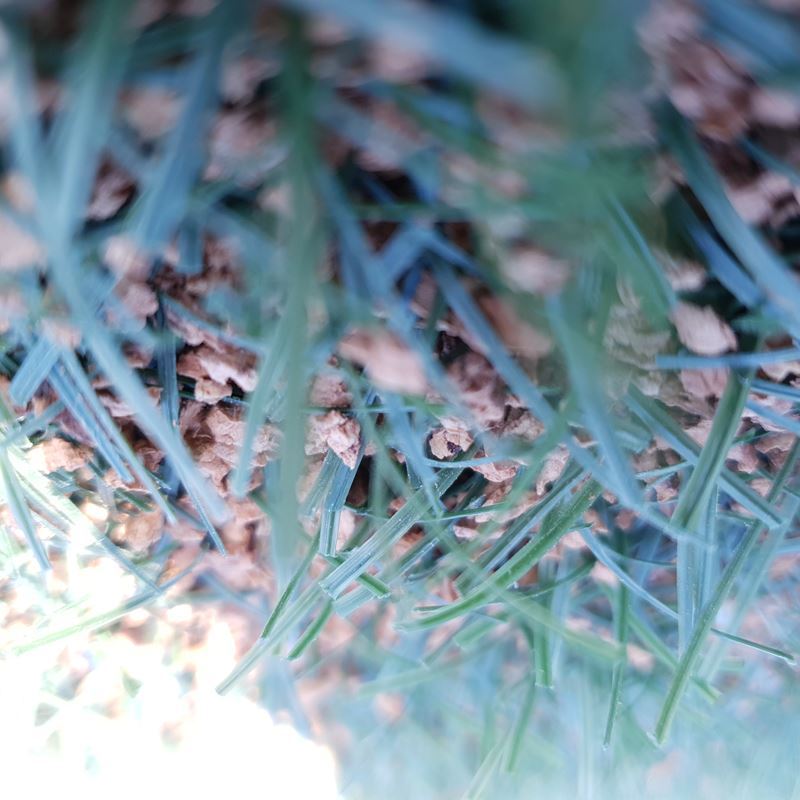 Amorim Sports Korea 2 (1)