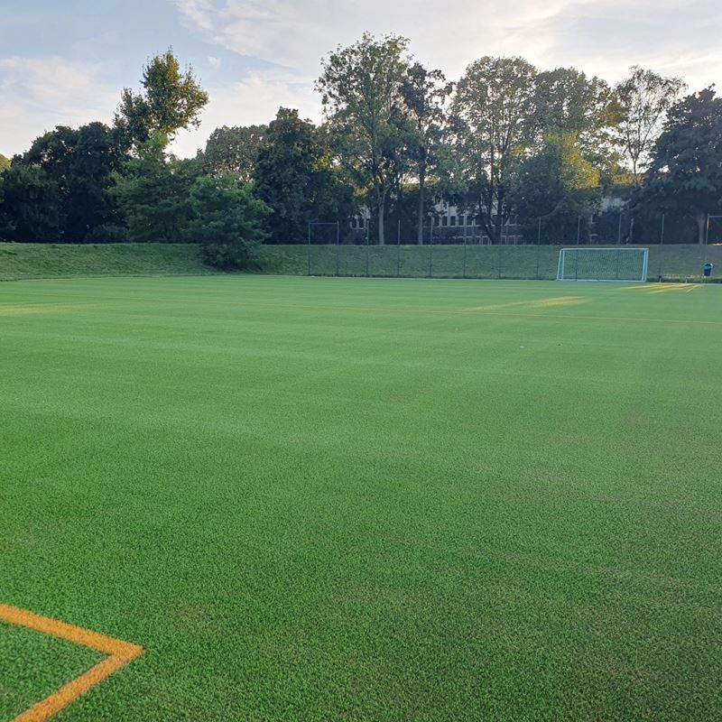 Moenchengladbach Cork Infill 3 (1)