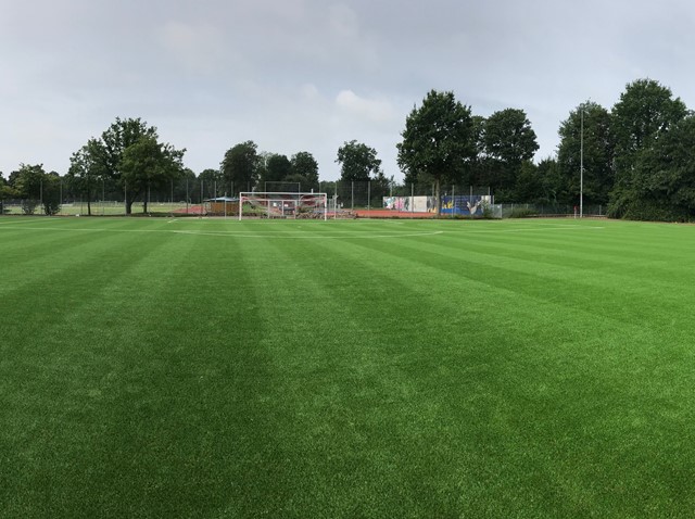Cork-based solutions for artificial turf systems | Materials ...