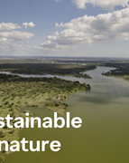 Corticeira Amorim Sustainability 2026