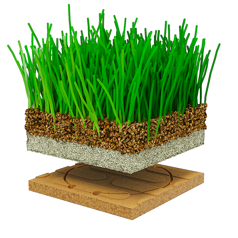 Infill Nature