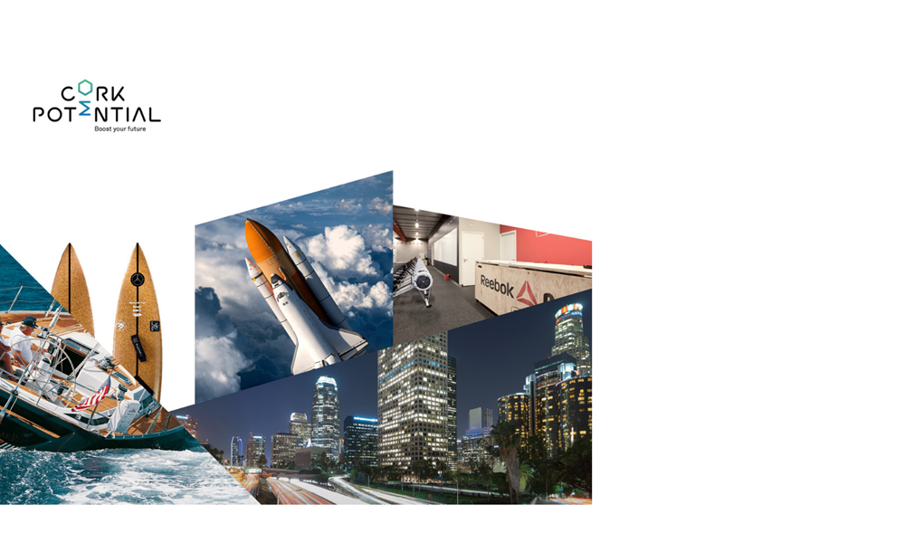 acc-header - 2019-05-28T155246.530.png