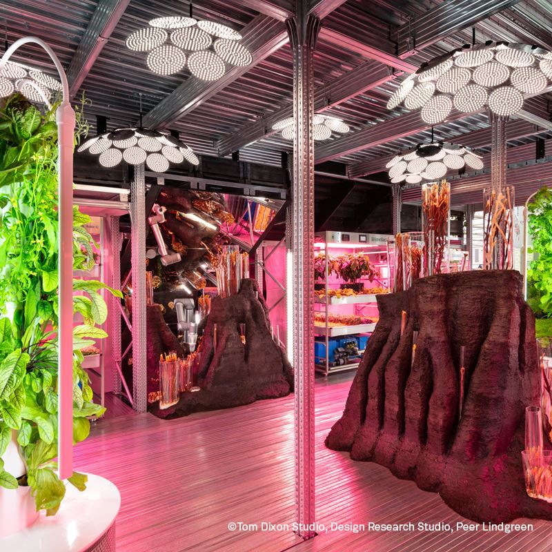 ikea_td_flower_show_2019_0653.jpg