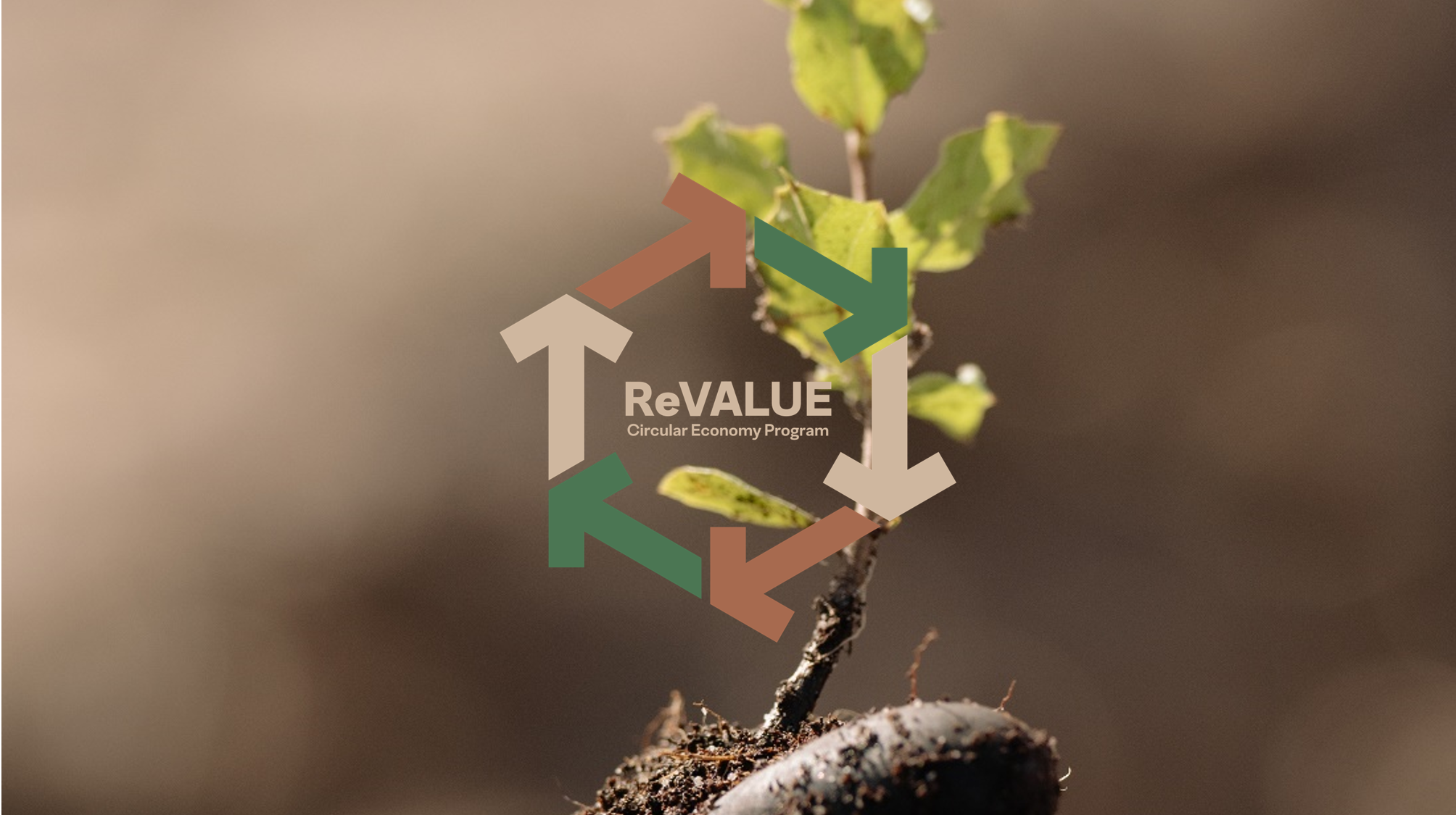 ReVALUE | Amorim Cork Solutions