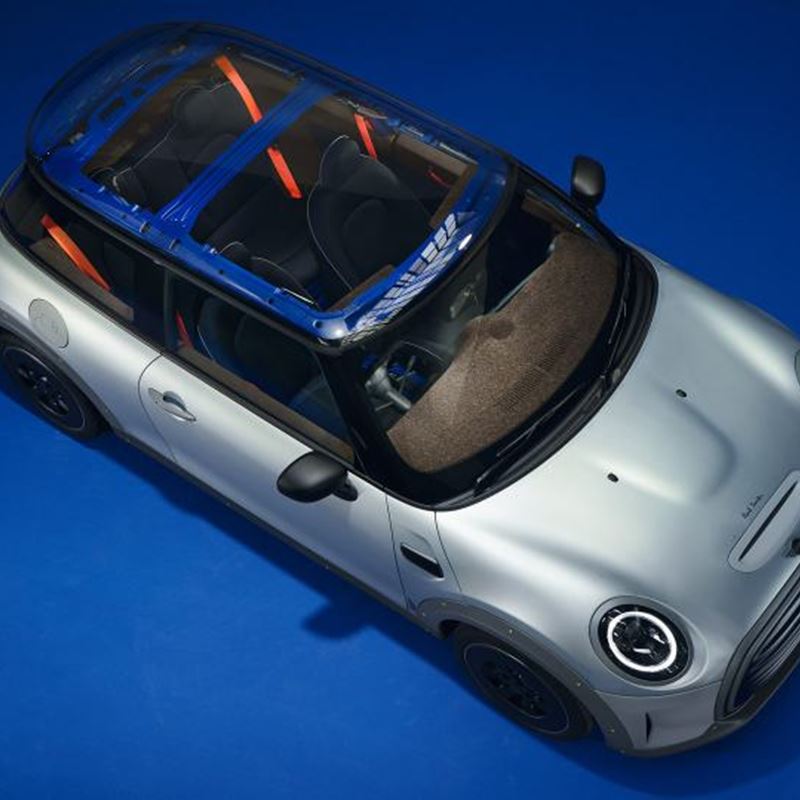 mini_2.jpg (1)