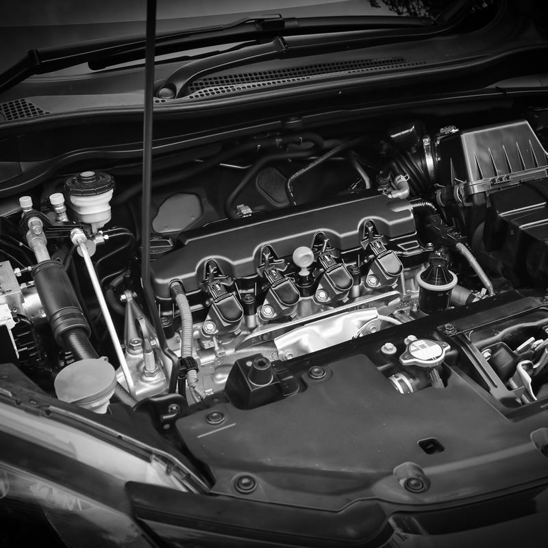 AdobeStock_316929275.jpeg