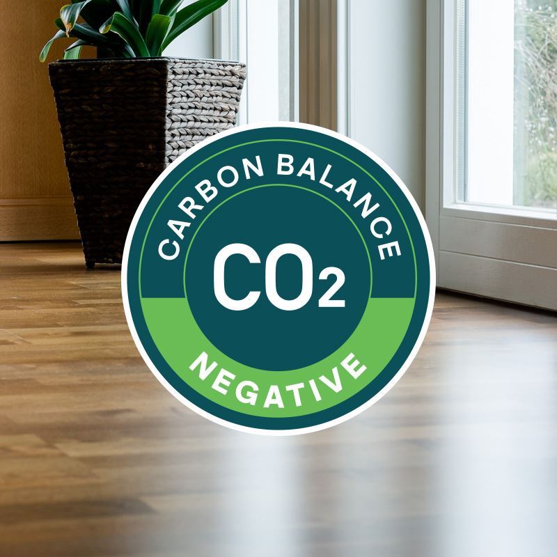 Nike Negative Carbon Balance.jpg (1)
