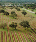 Brochure | Sustainable by nature | EN 2023
