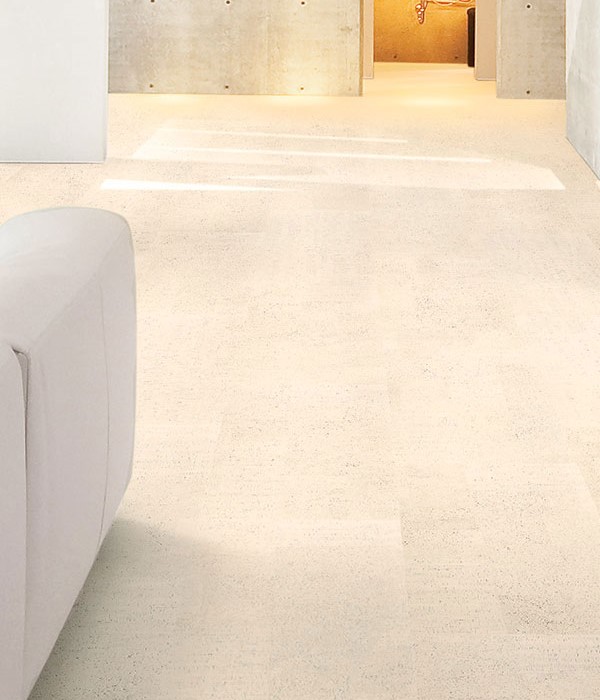 FASHIONABLE GLACIER (1) (1)